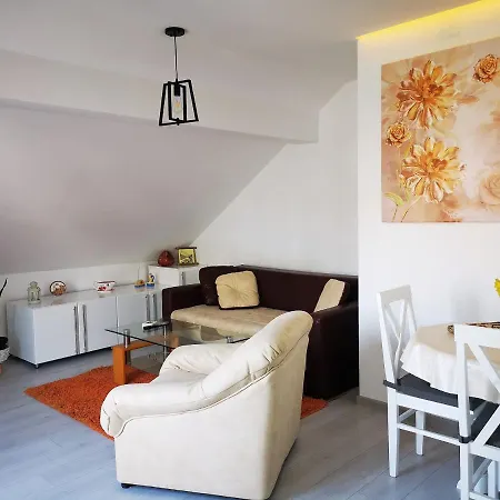 Bis * 贝尔格莱德